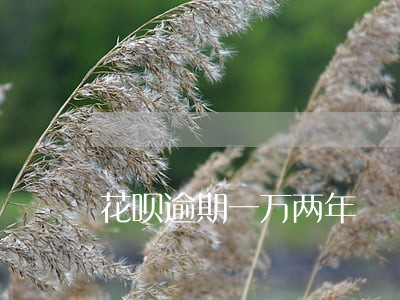花呗逾期一万两年 花呗逾期一万两年