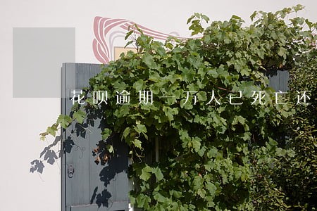 花呗逾期一万人已死亡还需要还吗 花呗逾期一万人已死亡还需要还吗