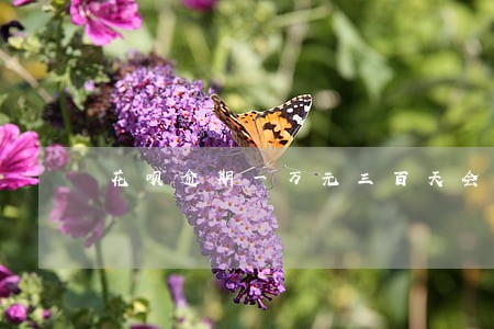 花呗逾期一万元三百天会上门吗