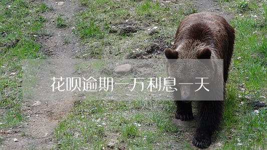 花呗逾期一万利息一天