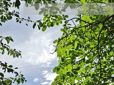 花呗逾期一万多会怎样 花呗逾期一万多会怎样