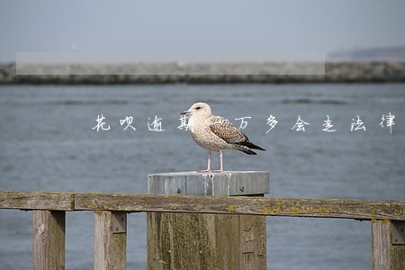 花呗逾期一万多会走法律程序吗