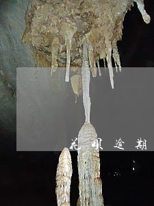 花呗逾期一万多怎么分期 花呗逾期一万多怎么分期