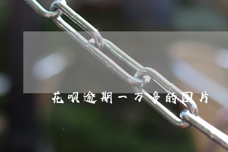 花呗逾期一万多的图片 花呗逾期一万多的图片