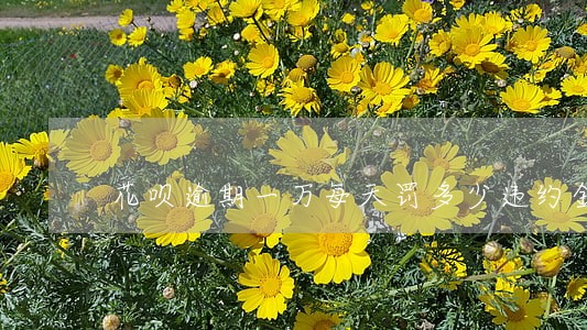 花呗逾期一万每天罚多少违约金 花呗逾期一万每天罚多少违约金