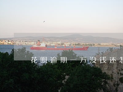 花呗逾期一万没钱还怎么办 花呗逾期一万没钱还怎么办
