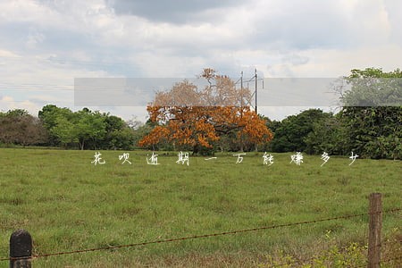 花呗逾期一万能赚多少 花呗逾期一万能赚多少