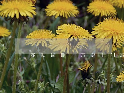 花呗逾期一万说上门取证是真的吗 花呗逾期一万说上门取证是真的吗