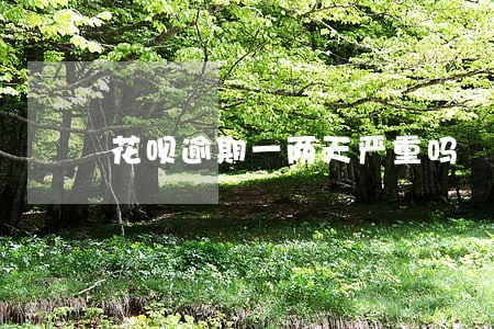 花呗逾期一两天严重吗 花呗逾期一两天严重吗