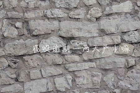 花呗逾期一两天严重嘛 花呗逾期一两天严重嘛