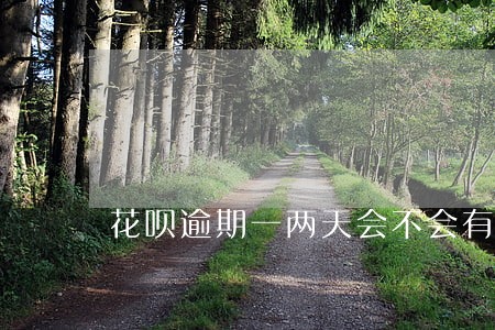 花呗逾期一两天会不会有事 花呗逾期一两天会不会有事