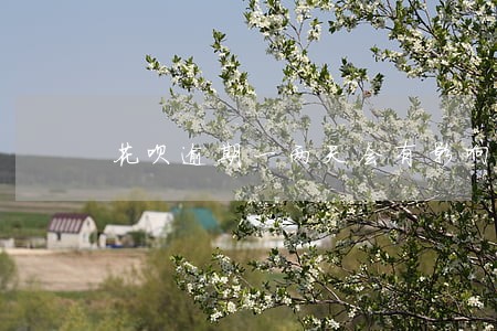花呗逾期一两天会有影响吗 花呗逾期一两天会有影响吗
