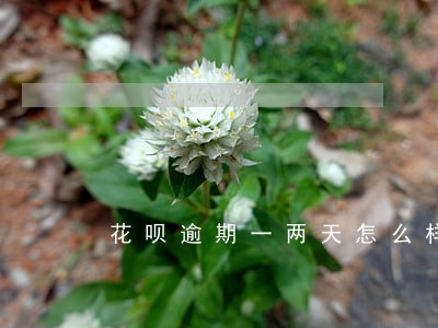 花呗逾期一两天怎么样 花呗逾期一两天怎么样