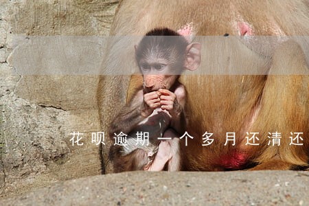 花呗逾期一个多月还清还能用吗 花呗逾期一个多月还清还能用吗