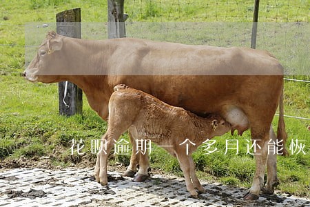 花呗逾期一个多月还能恢复么 花呗逾期一个多月还能恢复么