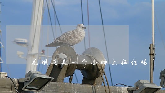 花呗逾期一个小时上征信吗 花呗逾期一个小时上征信吗