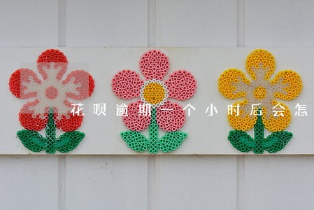 花呗逾期一个小时后会怎么样 花呗逾期一个小时后会怎么样