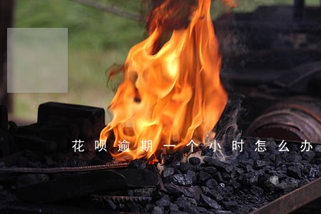 花呗逾期一个小时怎么办 花呗逾期一个小时怎么办