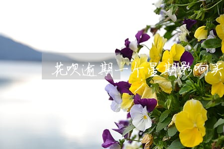 花呗逾期一个星期影响买车吗 花呗逾期一个星期影响买车吗
