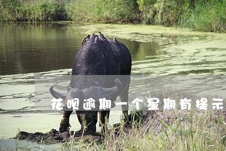 花呗逾期一个星期有提示吗 花呗逾期一个星期有提示吗