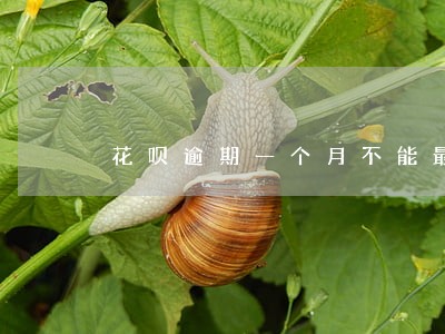 花呗逾期一个月不能最低还款了 花呗逾期一个月不能最低还款了