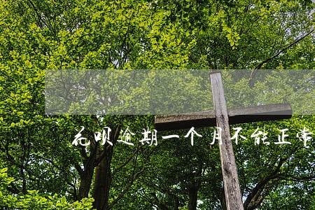 花呗逾期一个月不能正常使用 花呗逾期一个月不能正常使用