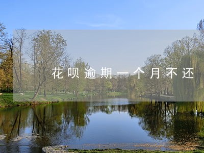 花呗逾期一个月不还 花呗逾期一个月不还