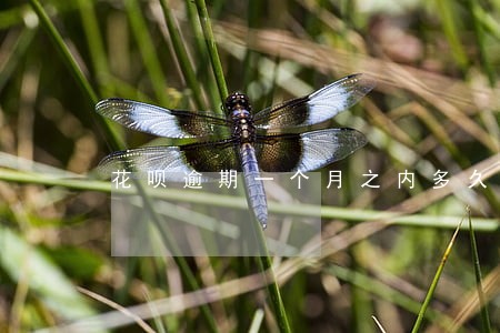 花呗逾期一个月之内多久能恢复 花呗逾期一个月之内多久能恢复