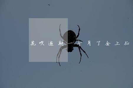 花呗逾期一个月了会上征信吗 花呗逾期一个月了会上征信吗