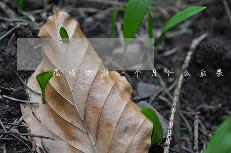 花呗逾期一个月什么后果 花呗逾期一个月什么后果