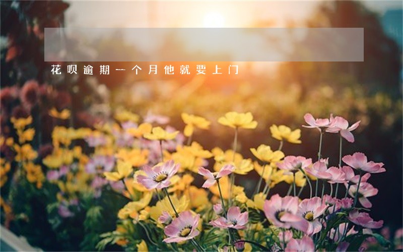 花呗逾期一个月他就要上门