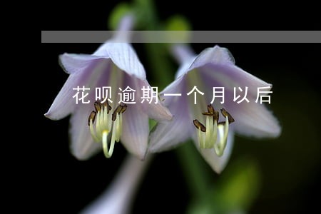 花呗逾期一个月以后 花呗逾期一个月以后