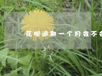 花呗逾期一个月会不会发信息 花呗逾期一个月会不会发信息