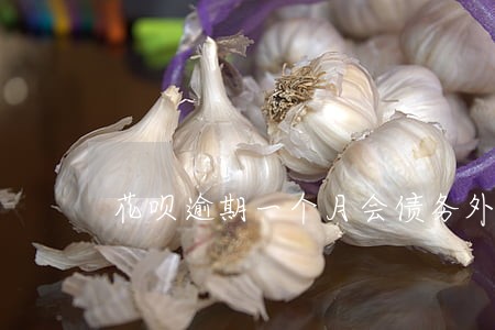 花呗逾期一个月会债务外包吗 花呗逾期一个月会债务外包吗