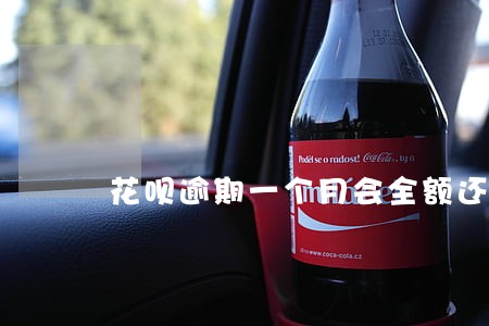 花呗逾期一个月会全额还款吗