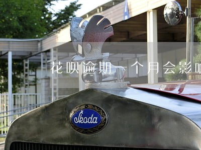 花呗逾期一个月会影响买房吗