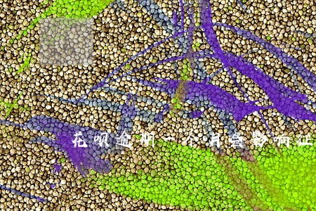 花呗逾期一个月会影响征信