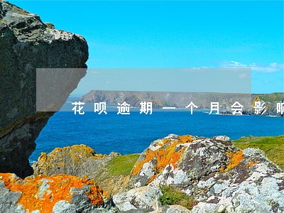 花呗逾期一个月会影响征信嘛