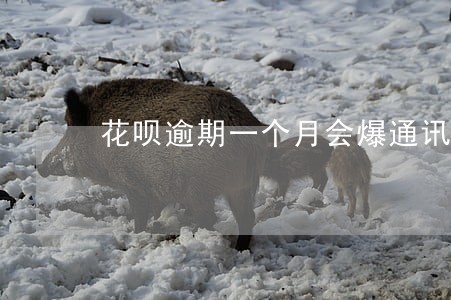 花呗逾期一个月会爆通讯录吗 花呗逾期一个月会爆通讯录吗