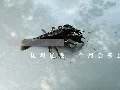 花呗逾期一个月会被上征信吗