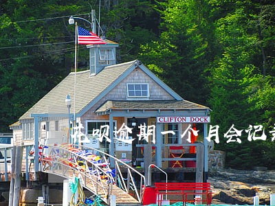 花呗逾期一个月会记录征信