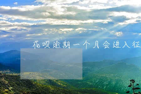 花呗逾期一个月会进入征信 花呗逾期一个月会进入征信