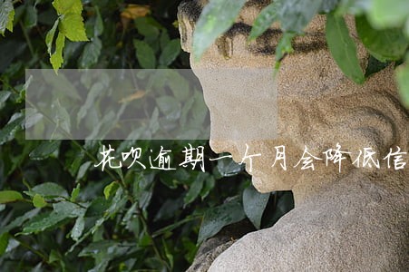 花呗逾期一个月会降低信誉分吗