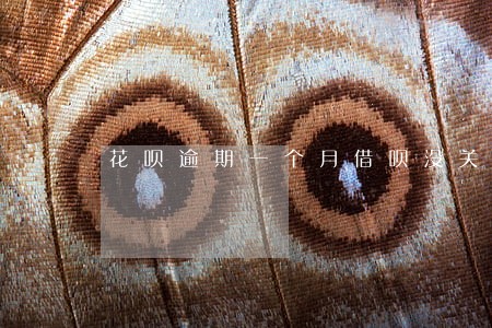 花呗逾期一个月借呗没关