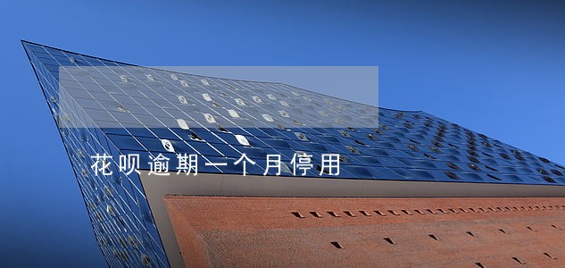 花呗逾期一个月停用