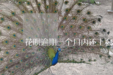花呗逾期一个月内还上会上征信吗