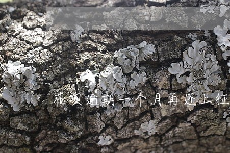 花呗逾期一个月再还上征信吗
