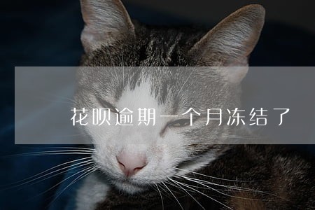 花呗逾期一个月冻结了 花呗逾期一个月冻结了