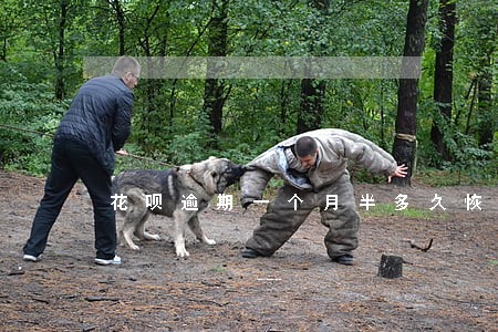 花呗逾期一个月半多久恢复 花呗逾期一个月半多久恢复