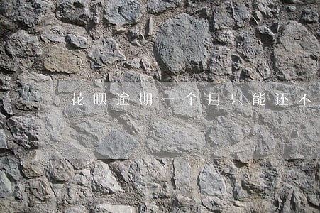 花呗逾期一个月只能还不能用了